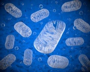 Mitochondria on a blue background