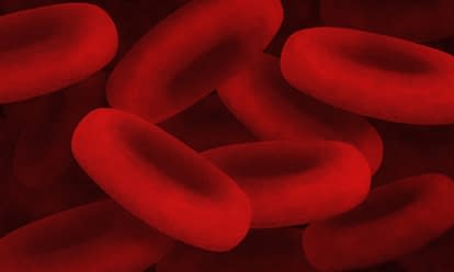 Blood tests at Reno Integrative